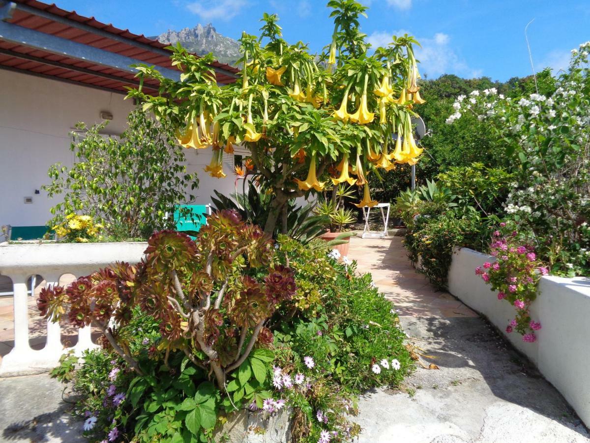 Residence Limoneto Ischia Forio  Exterior photo
